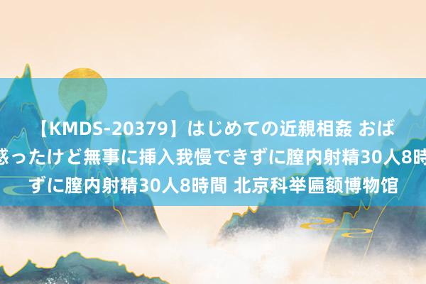 【KMDS-20379】はじめての近親相姦 おばさんの誘いに最初は戸惑ったけど無事に挿入我慢できずに膣内射精30人8時間 北京科举匾额博物馆