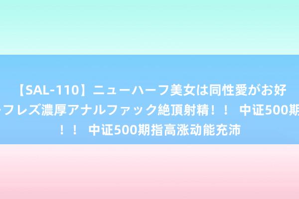 【SAL-110】ニューハーフ美女は同性愛がお好き♪ ニューハーフレズ濃厚アナルファック絶頂射精！！ 中证500期指高涨动能充沛