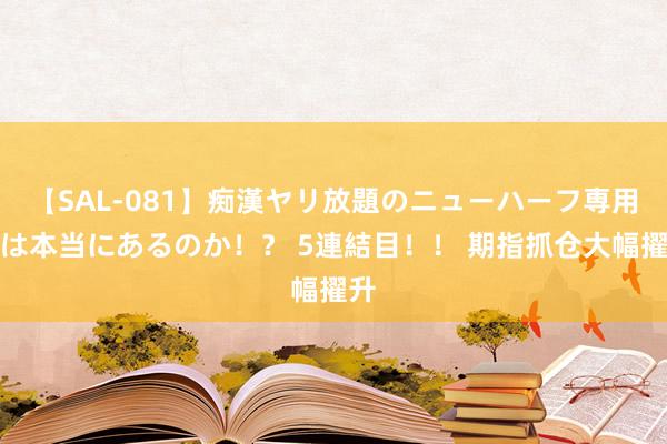 【SAL-081】痴漢ヤリ放題のニューハーフ専用車は本当にあるのか！？ 5連結目！！ 期指抓仓大幅擢升