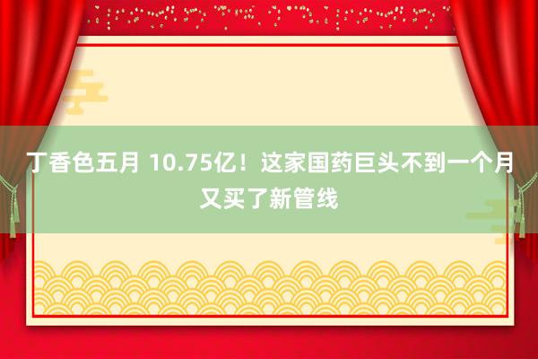 丁香色五月 10.75亿！这家国药巨头不到一个月又买了新管线