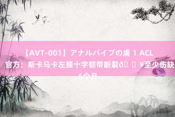 【AVT-001】アナルバイブの虜 1 ACL重伤！官方：斯卡马卡左膝十字韧带断裂?至少伤缺6个月