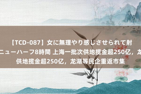 【TCD-087】女に無理やり感じさせられて射精までしてしまうニューハーフ8時間 上海一批次供地揽金超250亿，龙湖等民企重返市集