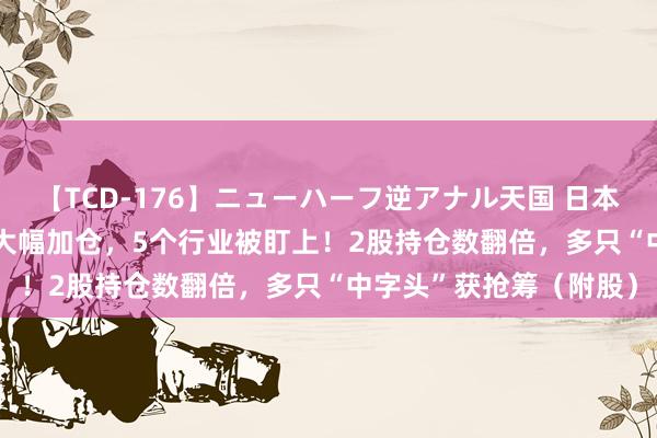 【TCD-176】ニューハーフ逆アナル天国 日本VS海外8時間SP 外资大幅加仓，5个行业被盯上！2股持仓数翻倍，多只“中字头”获抢筹（附股）