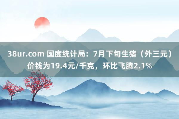 38ur.com 国度统计局：7月下旬生猪（外三元）价钱为19.4元/千克，环比飞腾2.1%