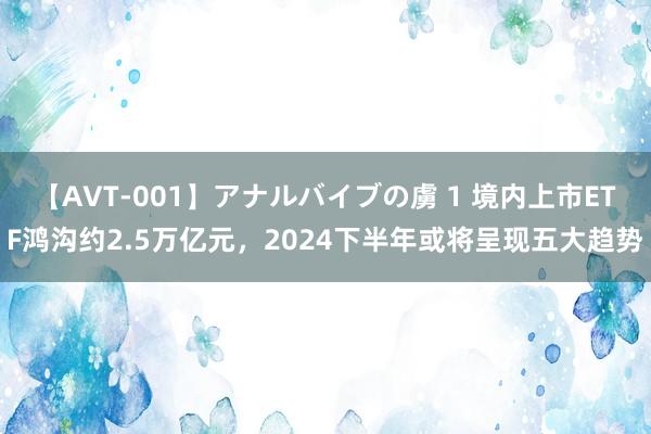 【AVT-001】アナルバイブの虜 1 境内上市ETF鸿沟约2.5万亿元，2024下半年或将呈现五大趋势