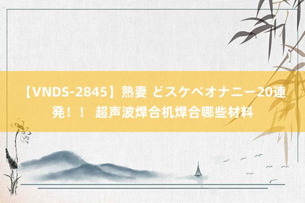 【VNDS-2845】熟妻 どスケベオナニー20連発！！ 超声波焊合机焊合哪些材料