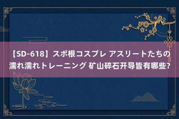 【SD-618】スポ根コスプレ アスリートたちの濡れ濡れトレーニング 矿山碎石开导皆有哪些？