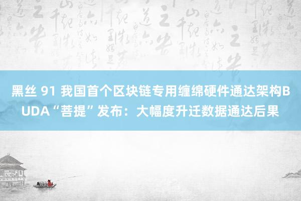 黑丝 91 我国首个区块链专用缠绵硬件通达架构BUDA“菩提”发布：大幅度升迁数据通达后果