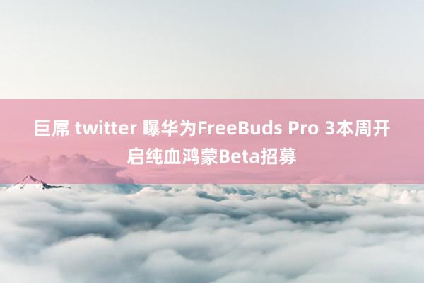 巨屌 twitter 曝华为FreeBuds Pro 3本周开启纯血鸿蒙Beta招募