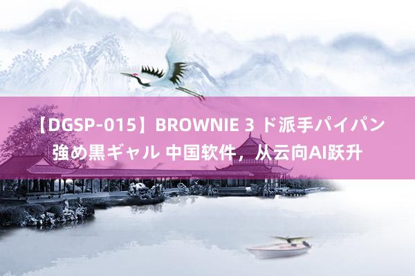 【DGSP-015】BROWNIE 3 ド派手パイパン強め黒ギャル 中国软件，从云向AI跃升