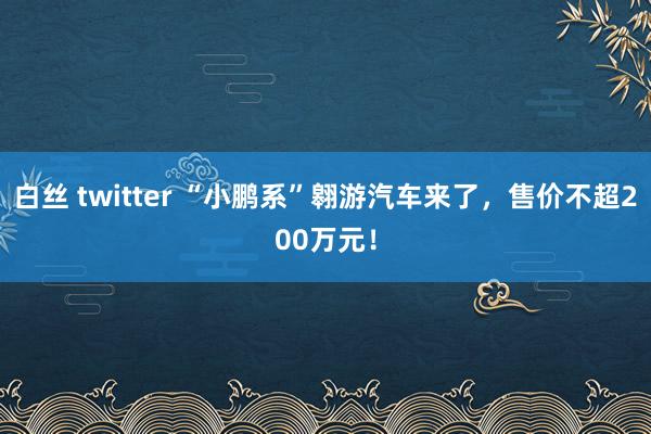 白丝 twitter “小鹏系”翱游汽车来了，售价不超200万元！