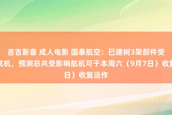 吉吉影音 成人电影 国泰航空：已建树3架部件受影响航机，预测总共受影响航机可于本周六（9月7日）收复运作