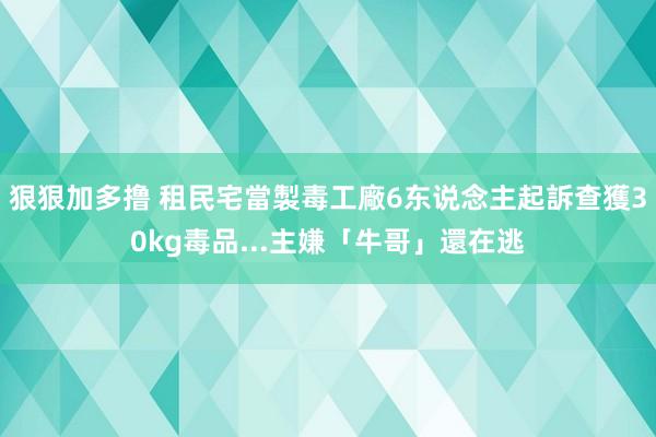 狠狠加多撸 租民宅當製毒工廠6东说念主起訴　查獲30kg毒品...主嫌「牛哥」還在逃