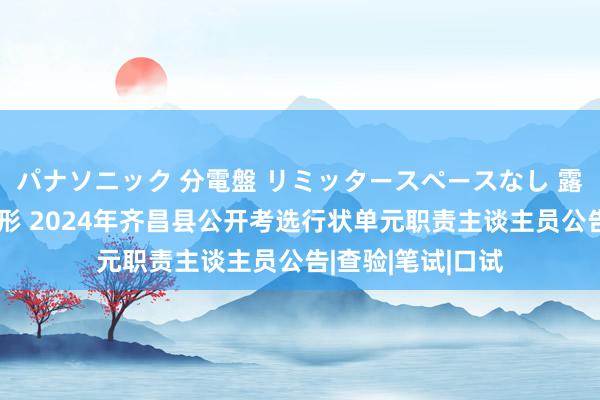 パナソニック 分電盤 リミッタースペースなし 露出・半埋込両用形 2024年齐昌县公开考选行状单元职责主谈主员公告|查验|笔试|口试