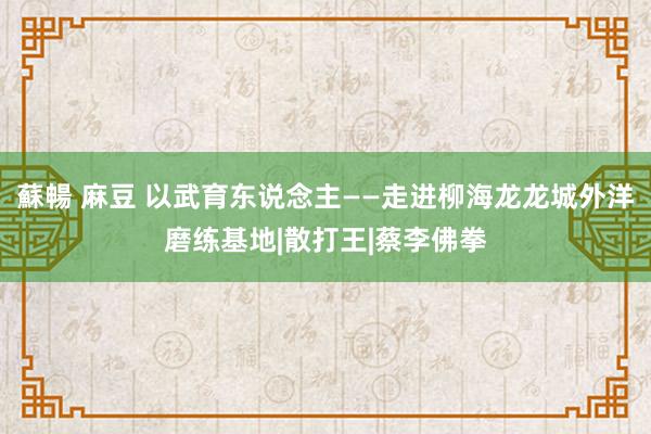 蘇暢 麻豆 以武育东说念主——走进柳海龙龙城外洋磨练基地|散打王|蔡李佛拳